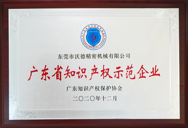 廣東省知識產(chǎn)權示范企業(yè)
